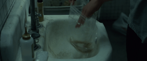 gonegirl_bornunicorn (3)