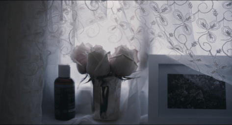 paloalto_bornunicorn