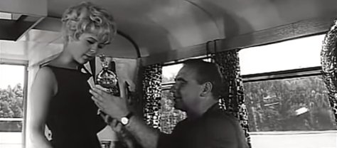 alibinavode_bornunicorn (3)