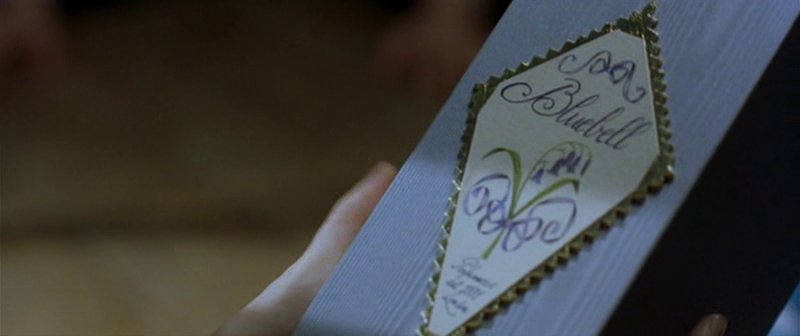 icapturethecastle_bornunicorn (3)