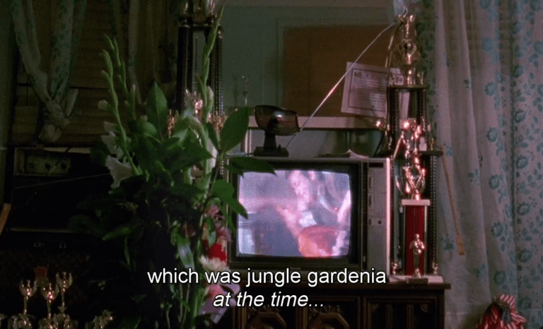 parisisburning_bornunicorn (2)