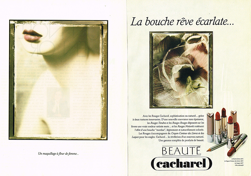 cacharellips_bornunicorn