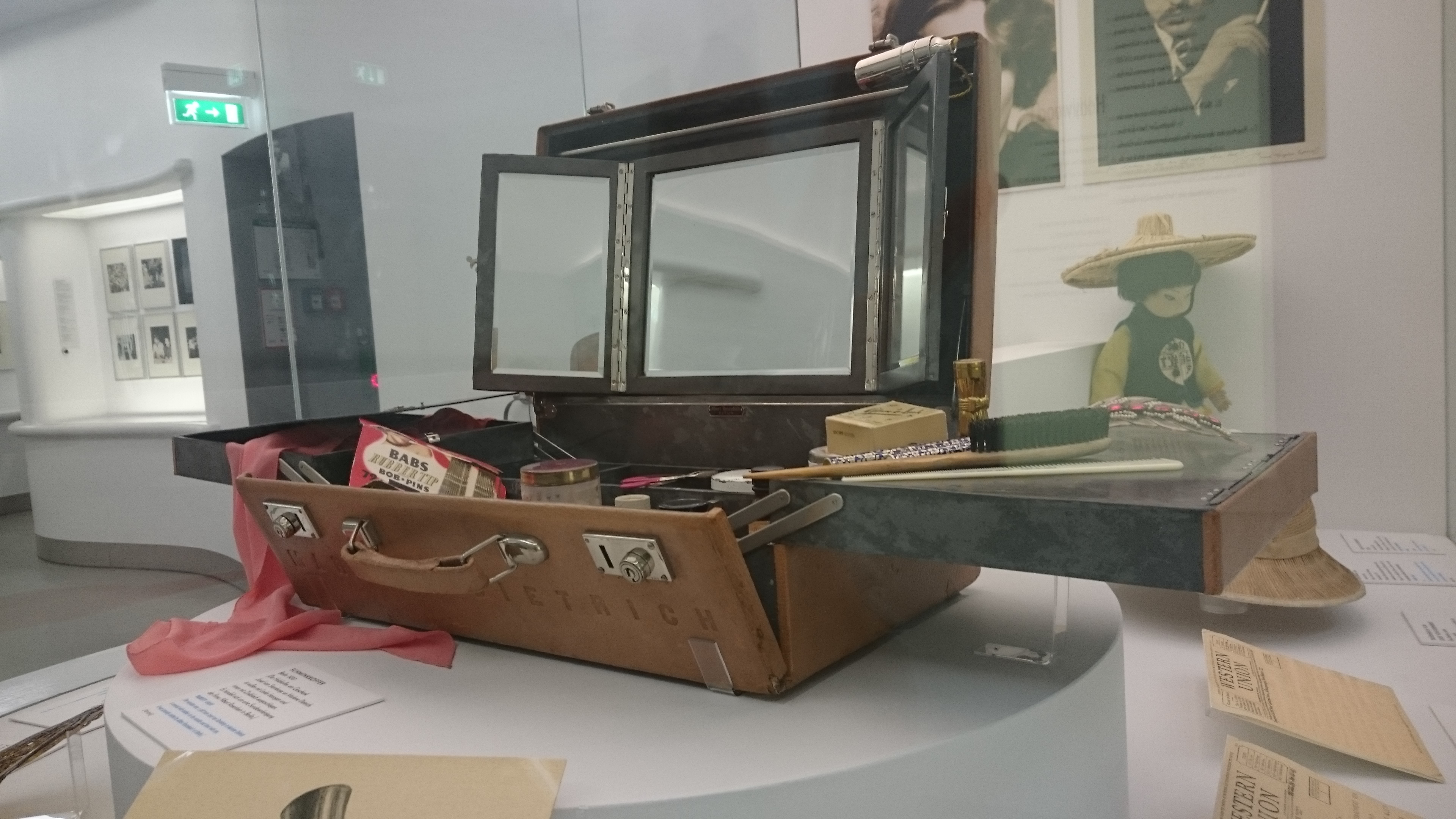 marlenedietrichmakeupcase_bornunicorn