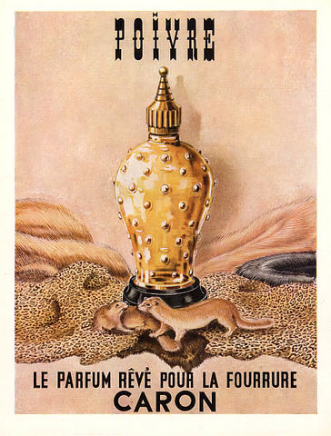 poivre-caron-ad-1957-bornunicorn